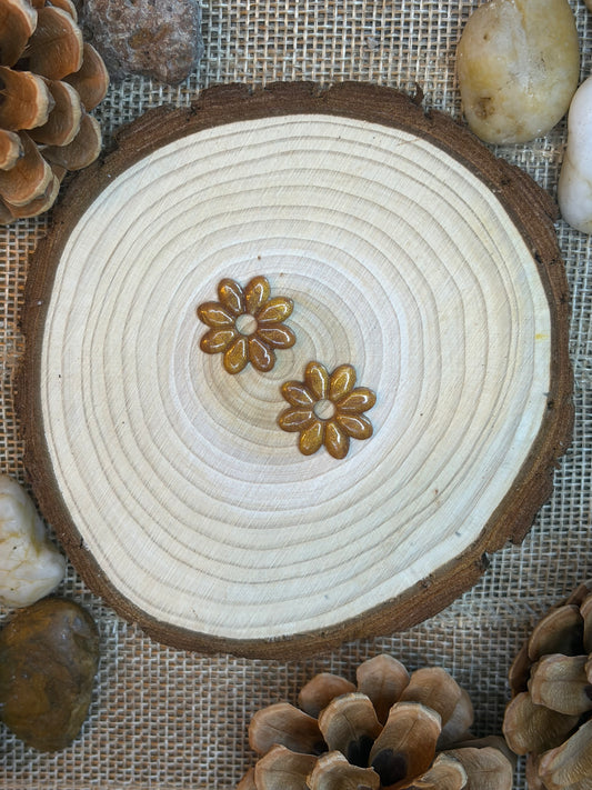 Pampilles Dora brun ambré